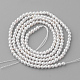 Shell Pearl Beads Strands&nbsp;PEAR-R064-94-2