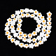 Natural Freshwater Shell Beads Strands&nbsp;SHEL-N003-31A-01-2