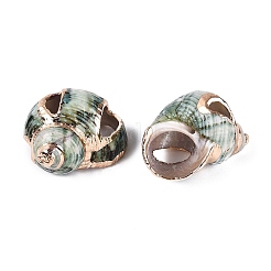 Electroplated Golden Brass Edged Natural Spiral Shell Pendants&nbsp;SSHEL-Q101-02