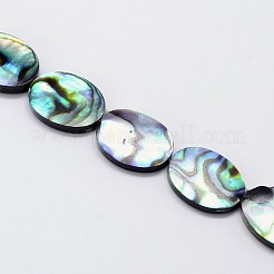 天然パウアシェルビーズ連売り  オーバル  カラフル  14x10x3mm  穴：1mm  約28個/連  15.7インチ&nbsp;SSHEL-J047-14B-01