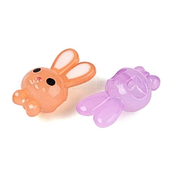 ゼリーのような質感のアクリルビーズ  兎  エナメル  ミックスカラー  32~32.5x18.5~19x16~16.5mm  穴：3.2mm&nbsp;OACR-N126-05