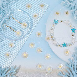 40Pcs Natural Freshwater Shell Pendants&nbsp;SHEL-SC0002-04