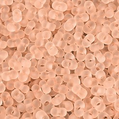 FGB Frosted Transparent Glass Seed Beads&nbsp;SEED-N013-06A-03