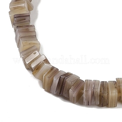 Handmade Lampwork Beads Strands&nbsp;LAMP-Q037-02B-13