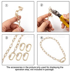 Brass Micro Pave Cubic Zirconia Screw Carabiner Lock Charms&nbsp;ZIRC-G160-21G