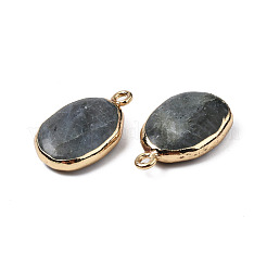 Natural Labradorite Pendants&nbsp;G-N326-130-05