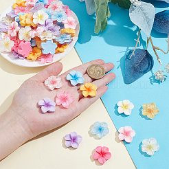 96本12色透明樹脂カボション  花  ミックスカラー  24x25x7mm  8個/カラー&nbsp;CRES-ME0001-03