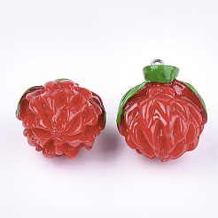 Resin Pendants&nbsp;LS-RESI-T028-29