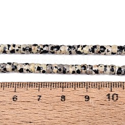 Natural Dalmatian Jasper Beads Strands&nbsp;G-Q606-46A-01