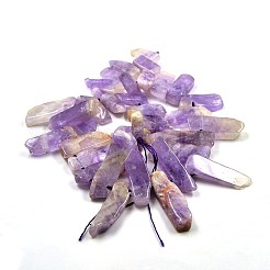Irregular Strip Natural Lavender Amethyst Graduated Beads Strands&nbsp;G-P064-06