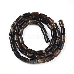 Natural Biotite Beads Strands&nbsp;G-N346-01A-02
