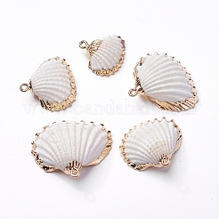 シェルペンダント  鉄のパーツと  シェル  ライトゴールド  20~30x21~34x7~11mm  穴：1.6~1.8mm&nbsp;SHEL-P075-04