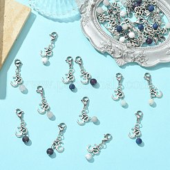 Natural Gemstone Pendants&nbsp;HJEW-SC0001-12