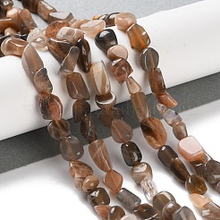 Natural Black Sunstone Beads Strands&nbsp;G-P497-01C-16