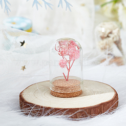 Glass Dome Cloche Cover&nbsp;AJEW-BC0001-66