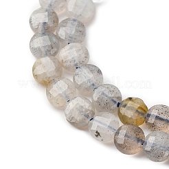 天然石ラブラドライトビーズ連売り  ファセットコインビーズ  フラットラウンド  4x2.5mm  穴：0.7mm  約103個/連  15.31''（38.9センチメートル）&nbsp;G-RM2025-A28