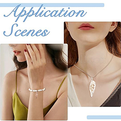 18Pcs 6 Styles Natural Shell Big Pendants&nbsp;BSHE-YW0001-20