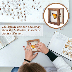 Wood Jewelry Presentation Boxes with White EVA Foam Mat Inside&nbsp;ODIS-WH0061-06B