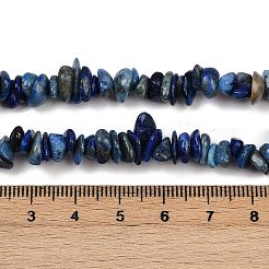 天然石ラピスラズリビーズ連売り  チップ  2~7x5~17x5~6mm  穴：0.9mm  30.71~31.50''（78~80センチメートル）&nbsp;G-Q060-C04