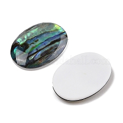天然パウアシェルカボション  オーバル  18x13x3mm&nbsp;SSHEL-I026-20A