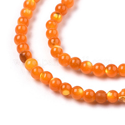 Natural Trochid Shell/Trochus Shell Beads Strands&nbsp;SSHEL-N034-132