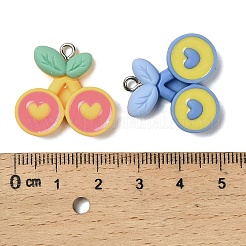 Resin Pendants&nbsp;RESI-I343-04