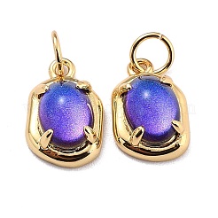 Eco-Friendly Brass Charms&nbsp;KK-H762-03G