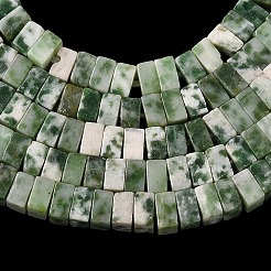 Natural Green Spot Jasper Beads Strands&nbsp;G-A280-C14-01