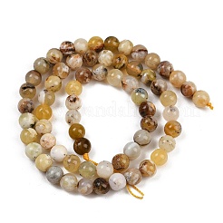 Natural Yellow Opal Beads Strands&nbsp;G-G992-A02-B