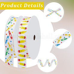 2 Rolls 2 Styles Back to School Polyester Ribbon&nbsp;OCOR-CY0003-75A