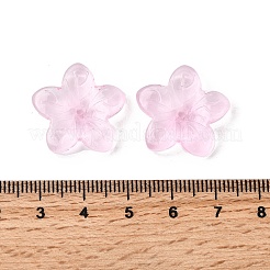 ガラスビーズ  スター  ミックスカラー  20.5x21.5x5.5mm  穴：1.6mm&nbsp;GLAA-D303-12