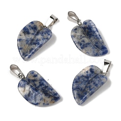 Natural Blue Spot Jasper Pendants&nbsp;G-B127-01P-01