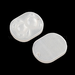 Transparent Resin Pendants&nbsp;CRES-I036-06