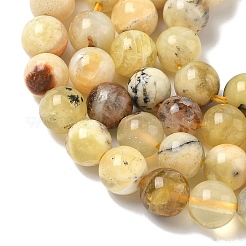 Natural Yellow Opal Beads Strands&nbsp;G-I213-18-6mm