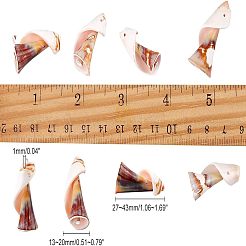 天然淡水シェルビーズ  27~43x13~20mm  穴：1mm  30個/箱&nbsp;SSHEL-NB0001-19