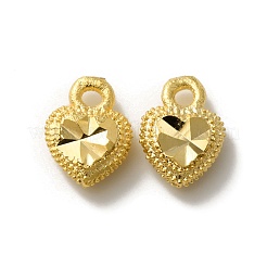 Brass Charms&nbsp;KK-O143-12G