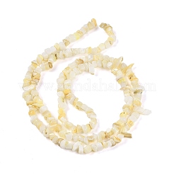 天然淡水シェルビーズ連売り  ナゲット  ライトゴールデンロッドイエロー  2~5.5x5~17x5~8mm  穴：0.7mm  29.53インチ（75cm）&nbsp;BSHE-G036-02
