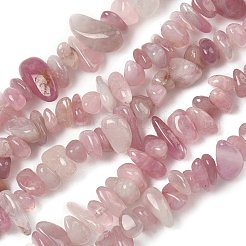 チップ状の天然マダガスカル産ローズクォーツビーズ連売り  4~6x8~12x2~4mm  穴：1mm  約32インチ&nbsp;G-M344-50A