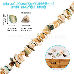 1連売り天然貝殻ビーズ連売り  染め  ナゲット  小麦  1~7.5x7~13x4~13mm  穴：0.8mm&nbsp;SSHEL-TA0001-12