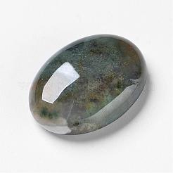 Natural Moss Agate Cabochons&nbsp;G-F296-09-22x30mm