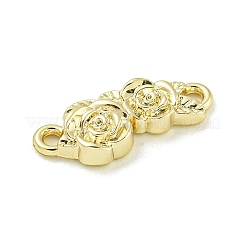 Alloy Connector Charms&nbsp;PALLOY-F310-03G-01