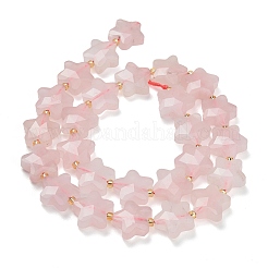 Natural Rose Quartz Beads Strands&nbsp;G-L657-A06-01