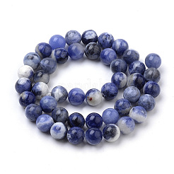 Natural South Africa Sodalite Beads Strands&nbsp;G-S259-35-10mm