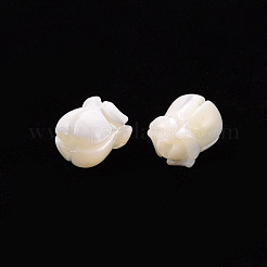 天然トロチッドシェル/トロカスシェルビーズ  スズラン  貝殻色  9.5x7.5mm  穴：1mm&nbsp;SSHEL-T014-32