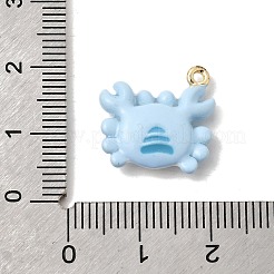 Alloy Enamel Pendants&nbsp;FIND-Z119-08G-03