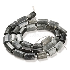 Natural Eagle Eye Stone Beads Strands&nbsp;G-G068-A24-01