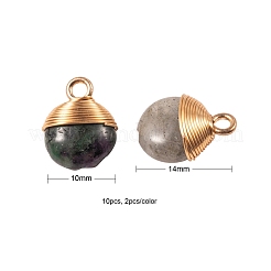 10Pcs 5 Style Natural Gemstone Pendants&nbsp;G-LS0002-08