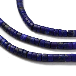 Natural Lapis Lazuli Beads Strands&nbsp;G-Z074-C01