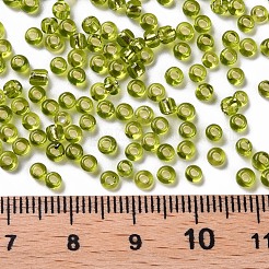 8/0 Glass Seed Beads&nbsp;SEED-A005-3mm-24