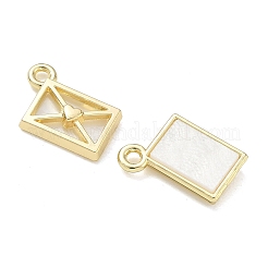 Alloy Acrylic Pendants&nbsp;FIND-D044-23G-01